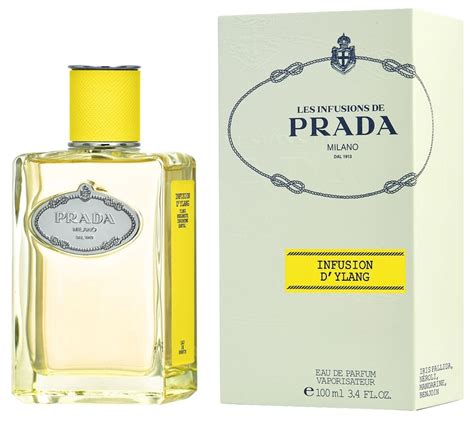 prada infusion ylang review|infusion d'ylang.